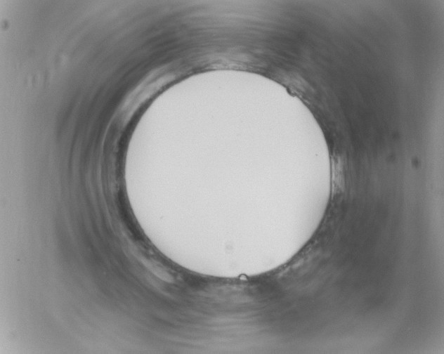 X0000061730291200512302153