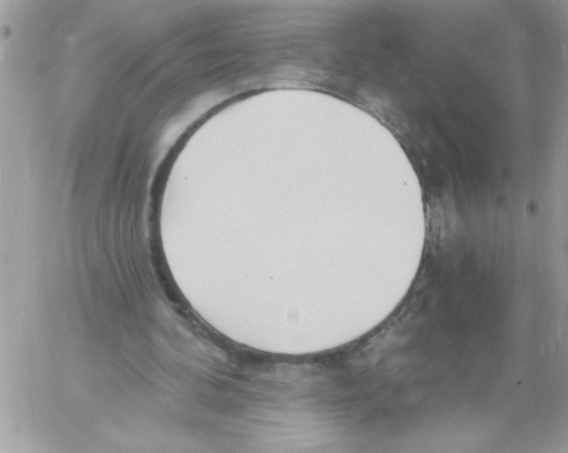 X0000061730292200512302153