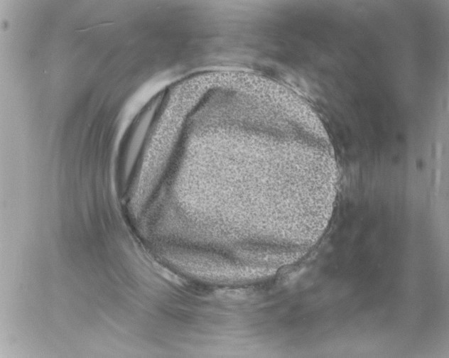 X0000061730294200512302153