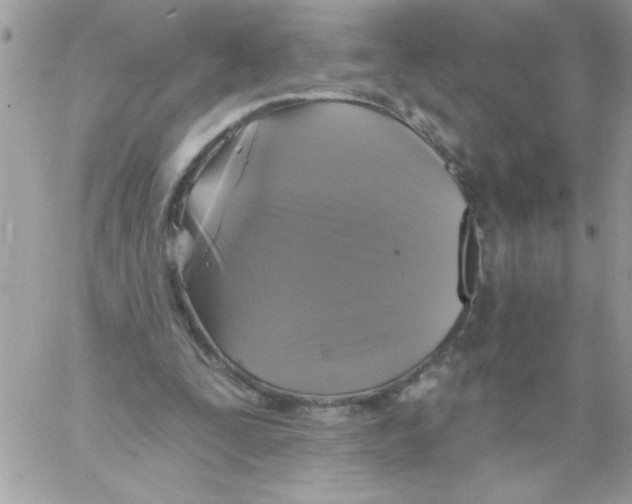 X0000061730295200512302153