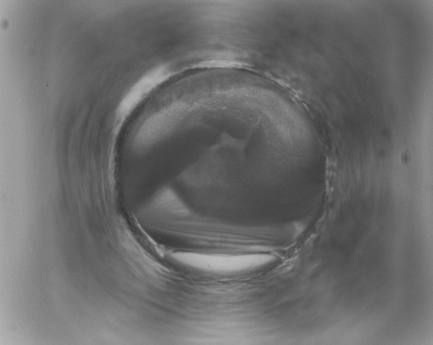 X0000061730296200512302153