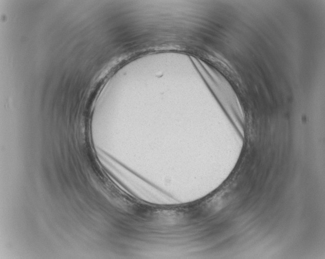 X0000061730298200512302153