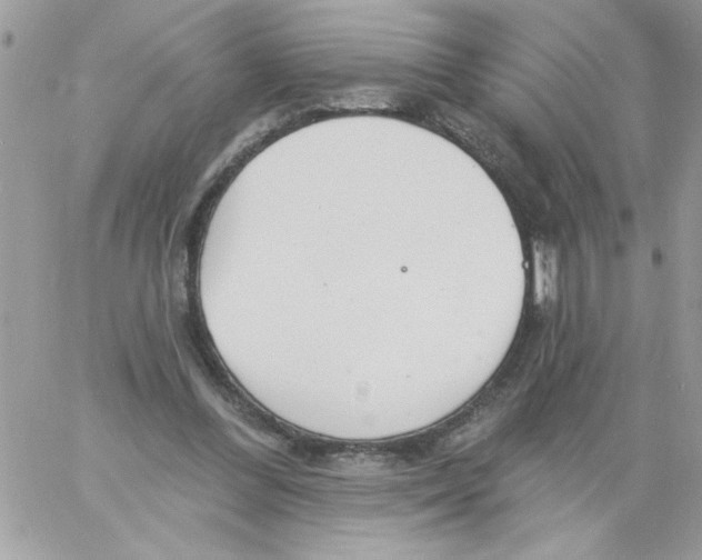 X0000061730300200512302153