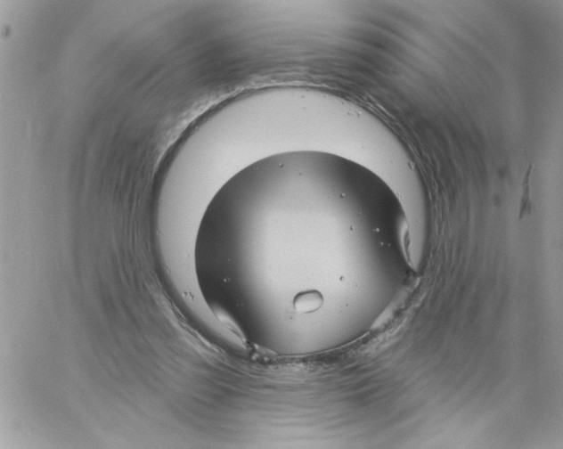 X0000061730301200512302153