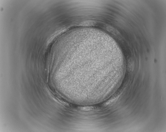 X0000061730303200512302153