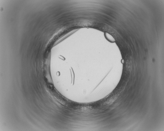 X0000061730304200512302152