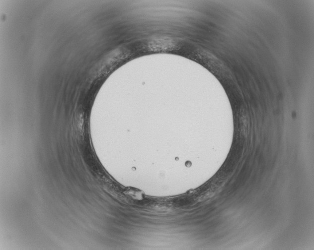 X0000061730308200512302152