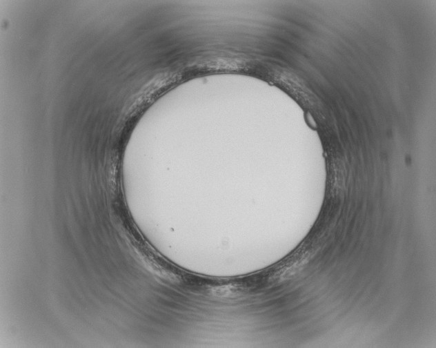 X0000061730309200512302152