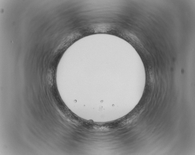 X0000061730311200512302152