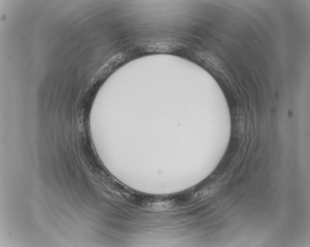 X0000061730312200512302152