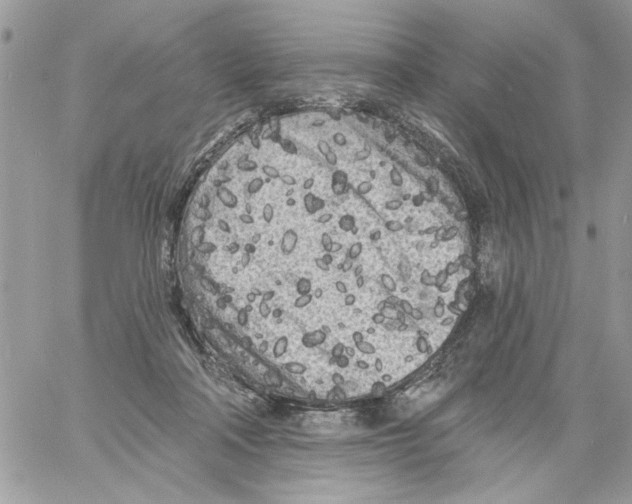 X0000061730314200512302152