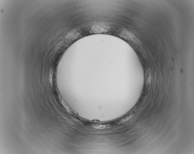 X0000061730315200512302152