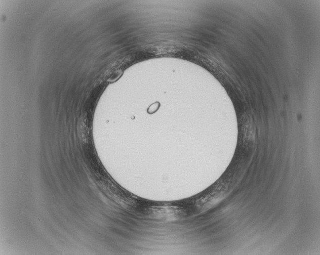 X0000061730316200512302152