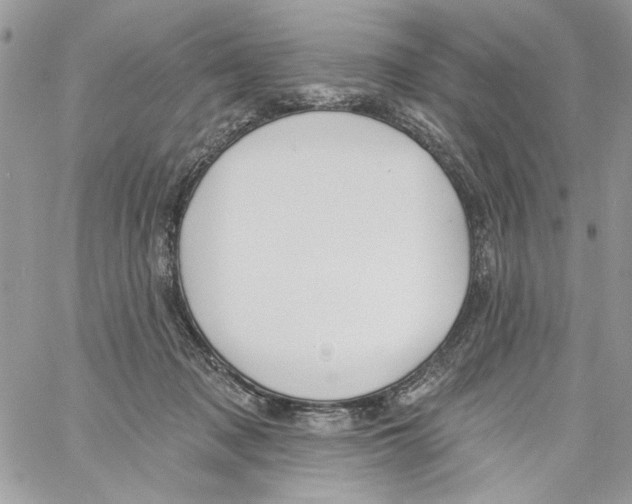 X0000061730317200512302152