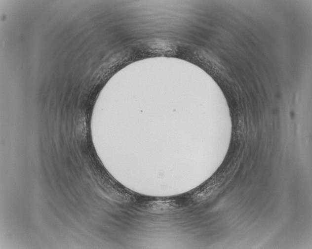 X0000061730320200512302152