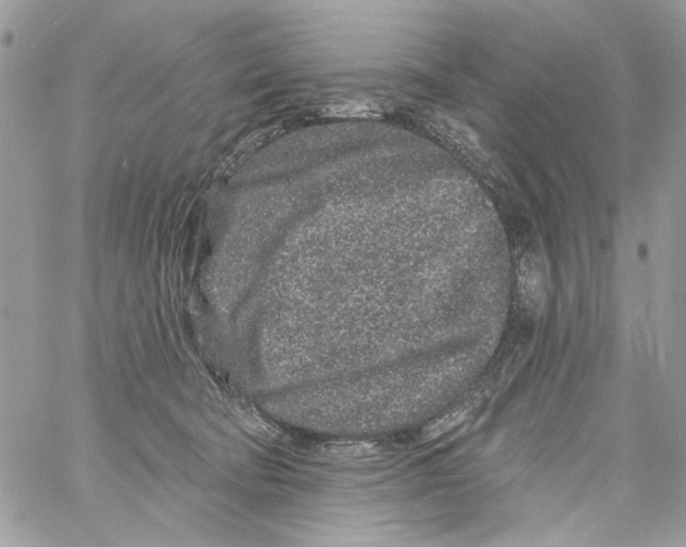 X0000061730322200512302152