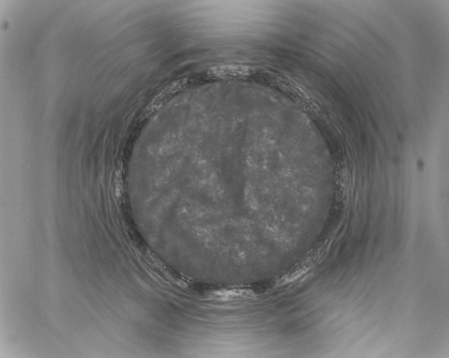 X0000061730323200512302152