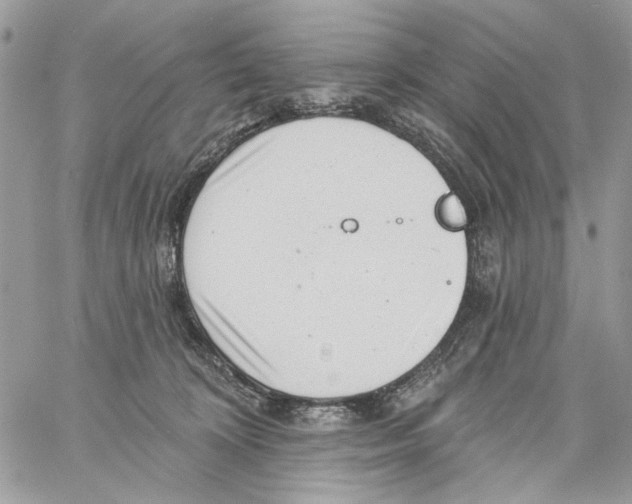 X0000061730324200512302152