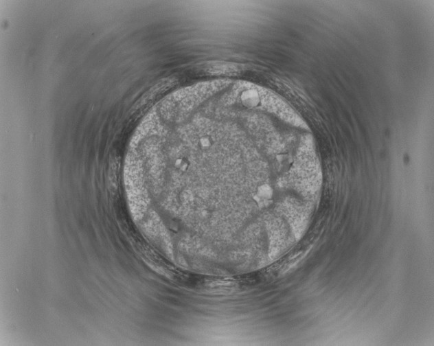 X0000061730325200512302152