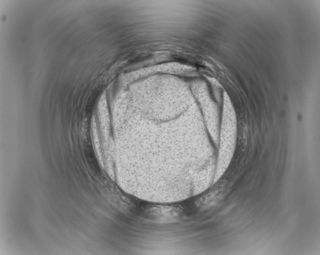 X0000061730326200512302152