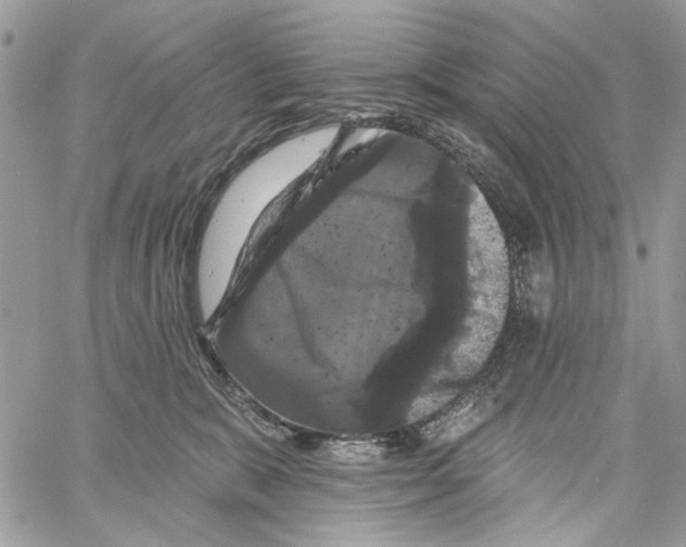 X0000061730327200512302152