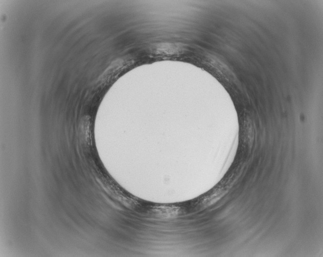 X0000061730328200512302152