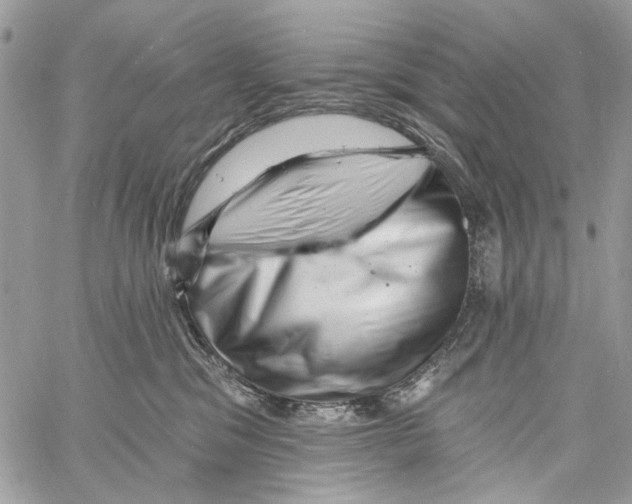 X0000061730329200512302152