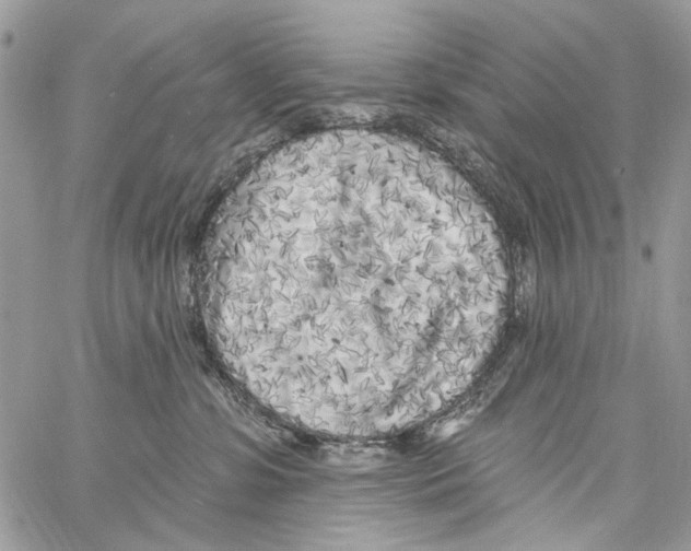 X0000061730331200512302152