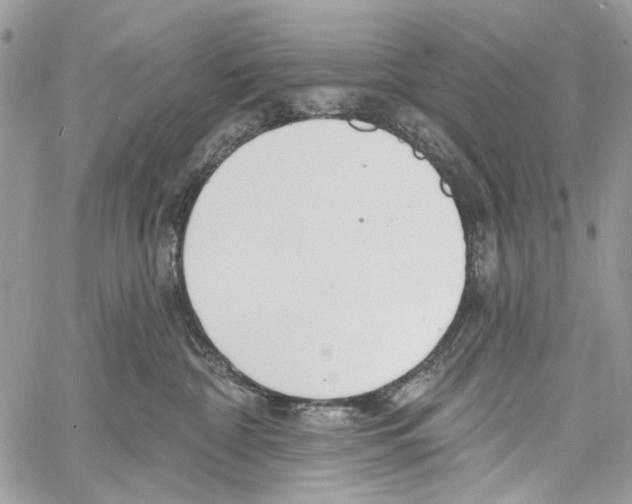 X0000061730332200512302152