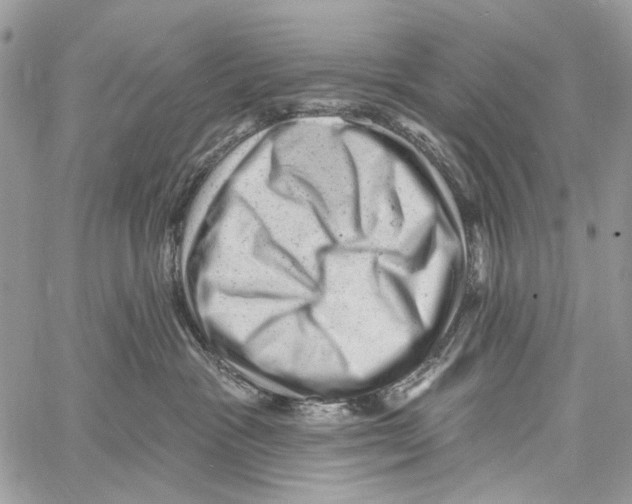 X0000061730333200512302152