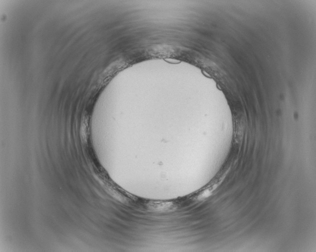 X0000061730334200512302152