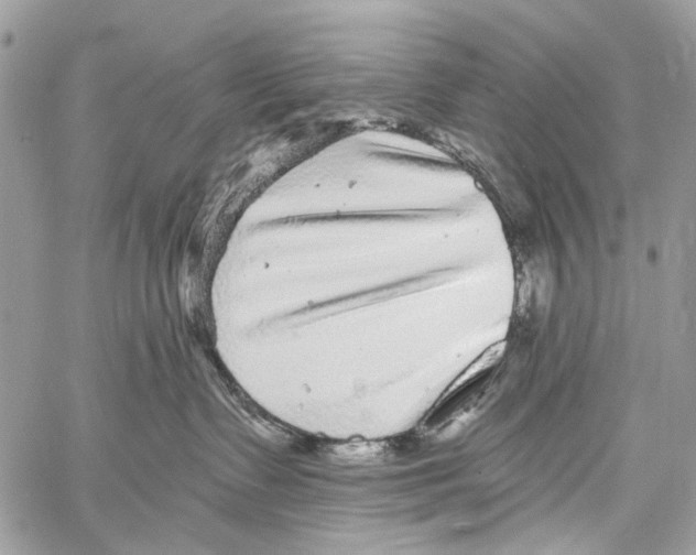 X0000061730335200512302152