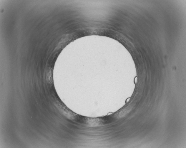 X0000061730336200512302152