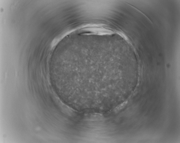 X0000061730337200512302151