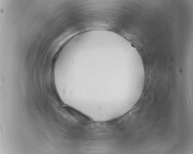 X0000061730338200512302151