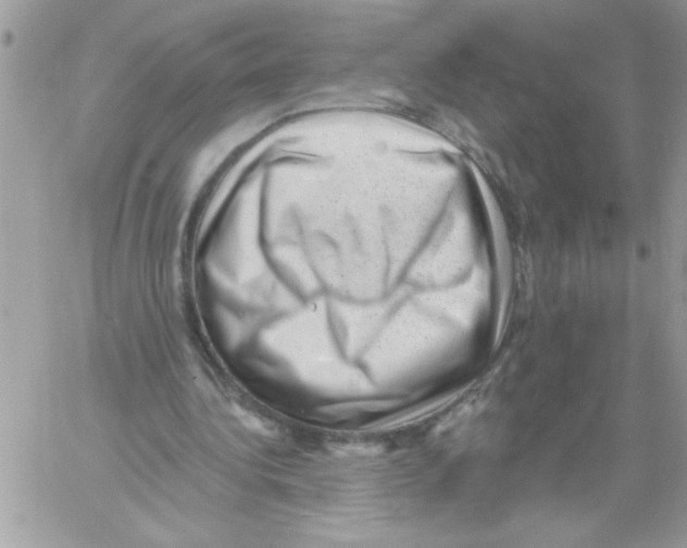 X0000061730340200512302151