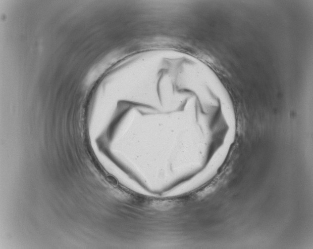 X0000061730341200512302151