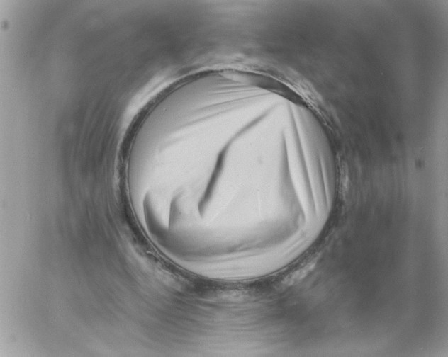 X0000061730344200512302151