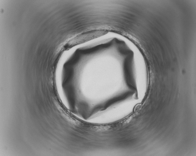 X0000061730345200512302151