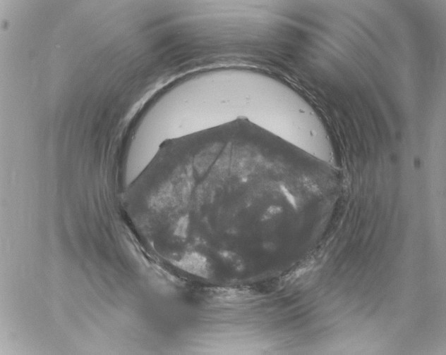 X0000061730347200512302151