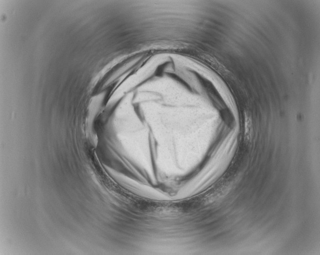 X0000061730348200512302151