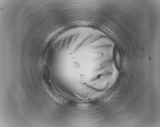 X0000061730352200512302151