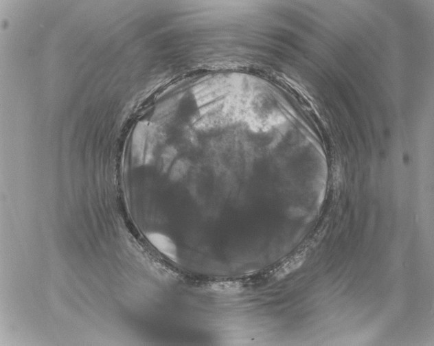 X0000061730353200512302151