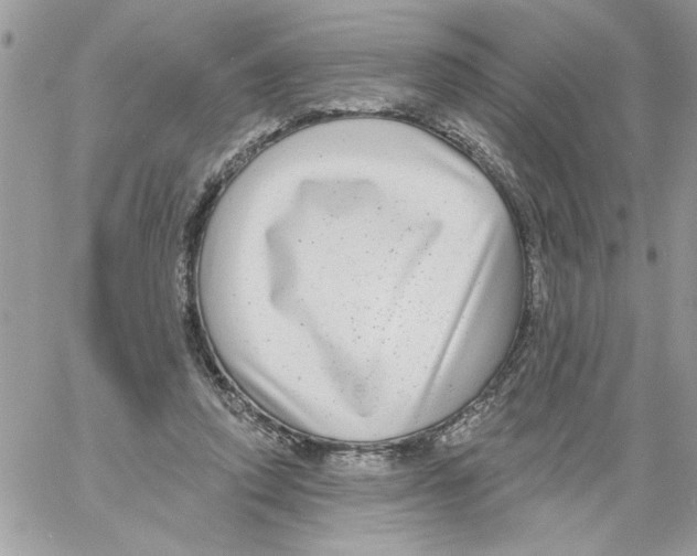 X0000061730354200512302151