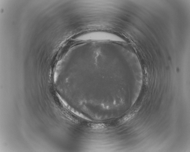 X0000061730355200512302151