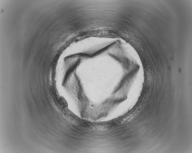 X0000061730358200512302152