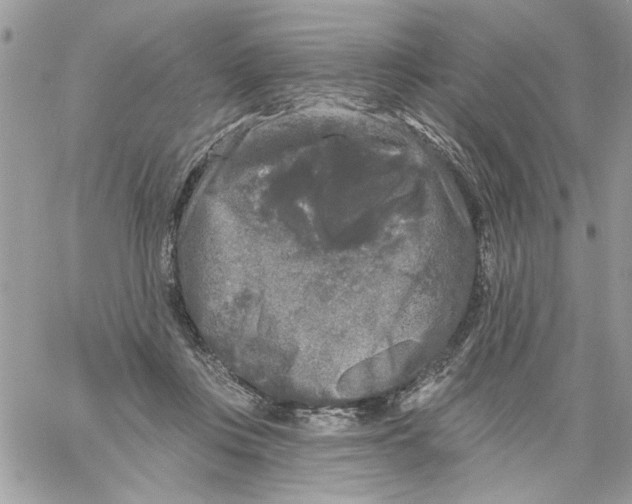 X0000061730359200512302152