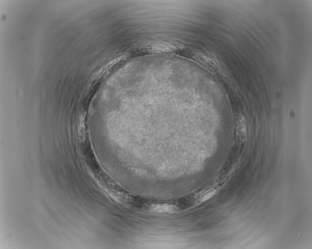 X0000061730360200512302152