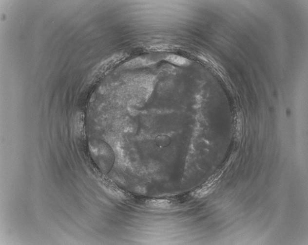 X0000061730361200512302152