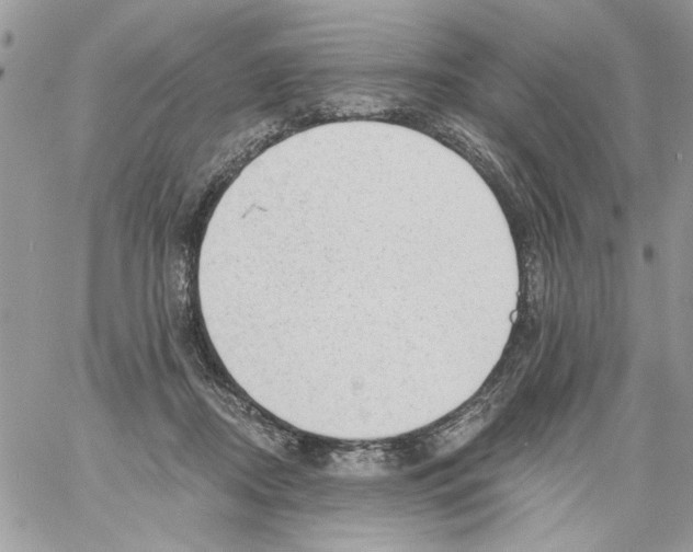 X0000061730362200512302152